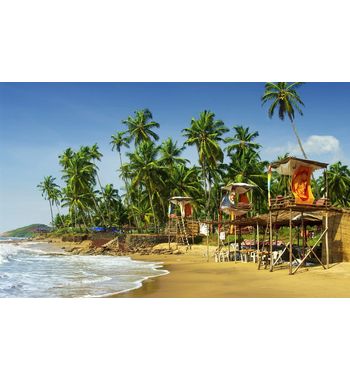 Тур из Ташкента на ГОА!